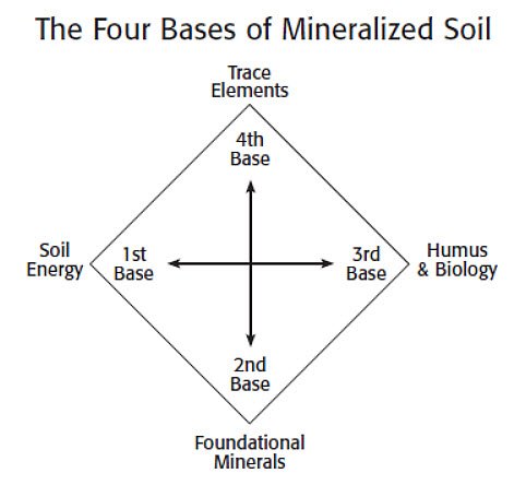 what is fourth base in a relationship