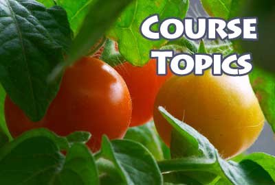 course topics foliar sprays